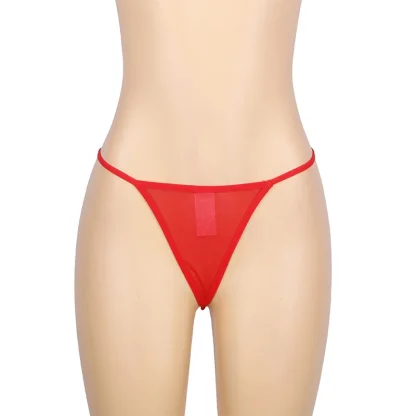 Passionate Lace Plus Size Garter Belt - Image 4