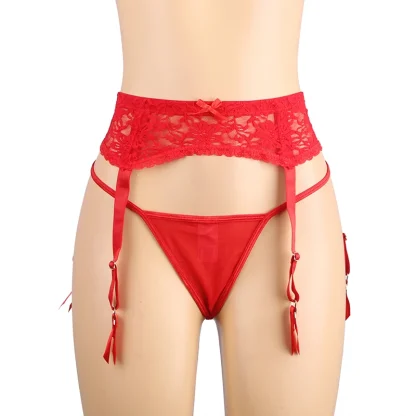 Ravishing Plus Size Garters Panty - Image 5