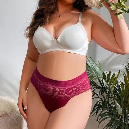 Lace Triangle Plus Size Panty