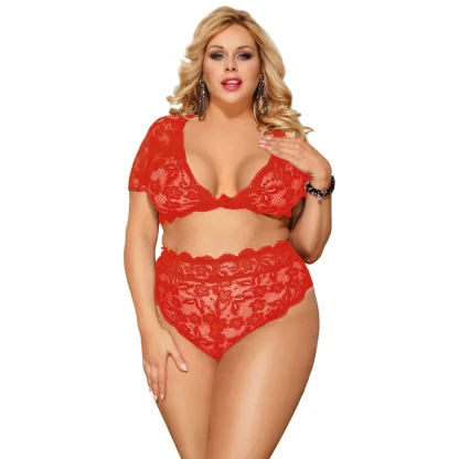 Sexy Sheer Lace Plus Size Set - Image 3