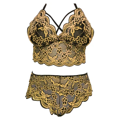 2-Piece Lace Plus Size Lingerie Set - Image 4