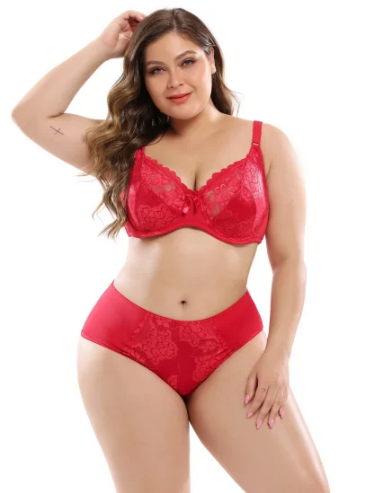 Plus Size Lace Bra and Panty Set - Image 4